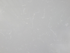 Carrara Gray